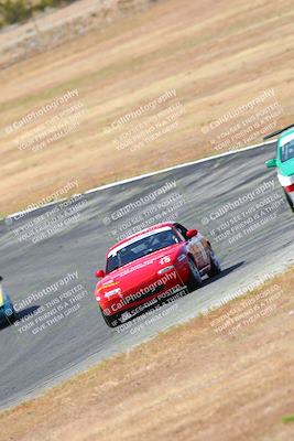 media/May-06-2023-Lucky Dog Racing (Sat) [[8f2256f436]]/Turn 2 10a/